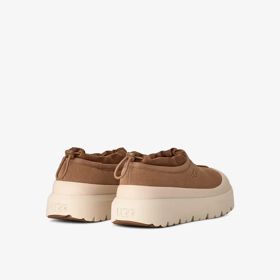Ugg TASMAN Erkek Slip-On Sneaker