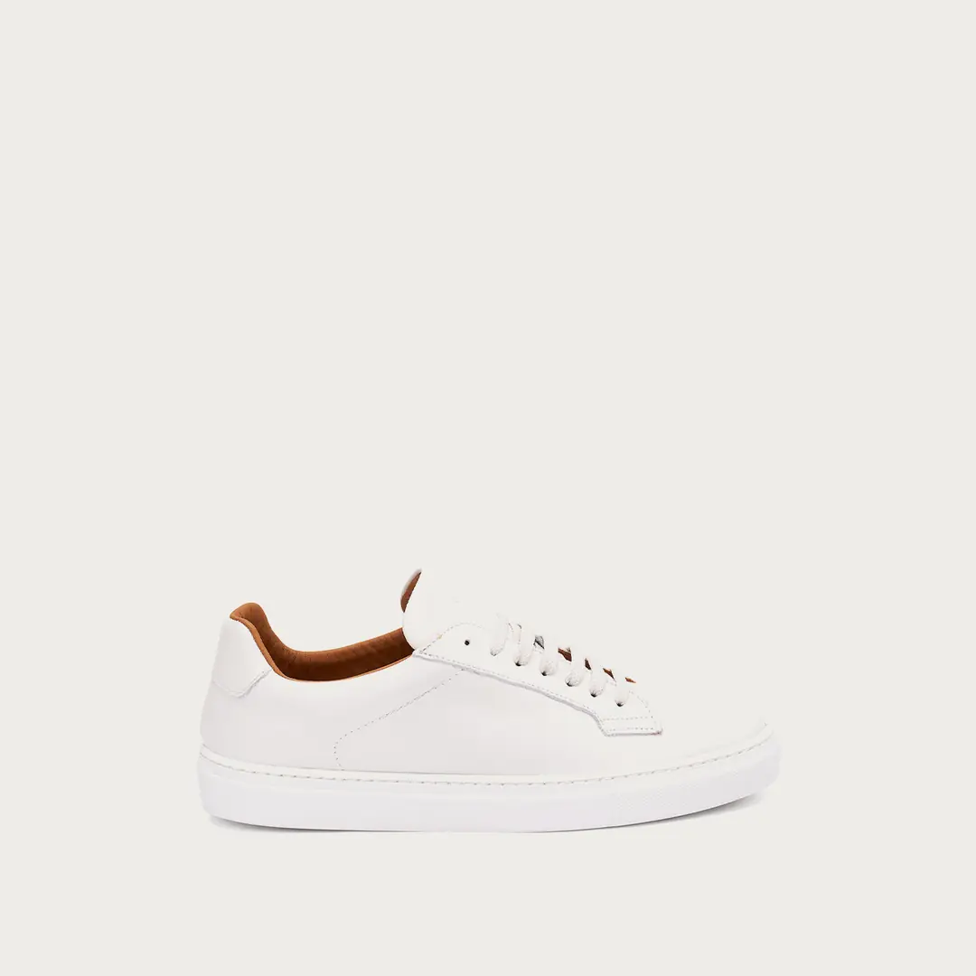 Frau Basc Erkek Sneaker - Beyaz